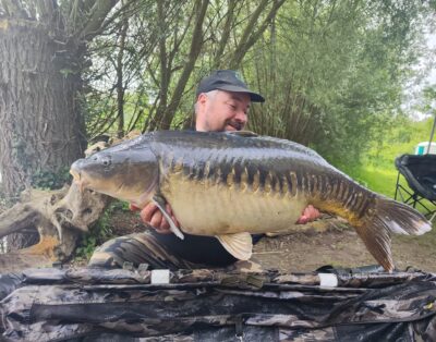carpe miroir linéaire
